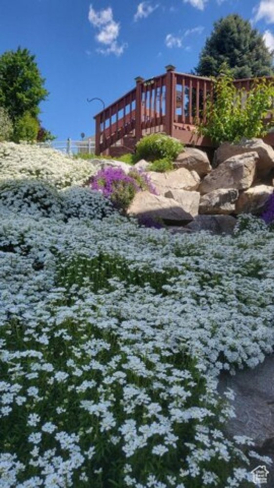 5 bedrooms House in Ogden, USA No. 425999