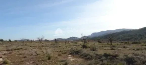 Terreno em Hondon De Las Nieves, Spain N.º 97807 3