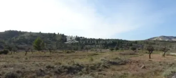 Terreno em Hondon De Las Nieves, Spain N.º 97807 12