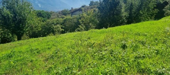 Terrain à Aiello del Sabato, Italy 4100m² No. 150156 13