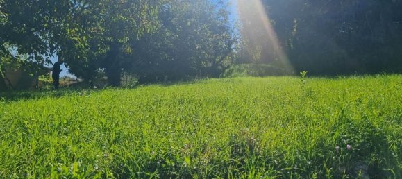 Terrain à Aiello del Sabato, Italy 4100m² No. 150156 4