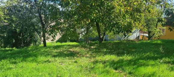 Terrain à Aiello del Sabato, Italy 4100m² No. 150156 17