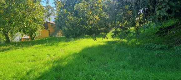 Terrain à Aiello del Sabato, Italy 4100m² No. 150156 11