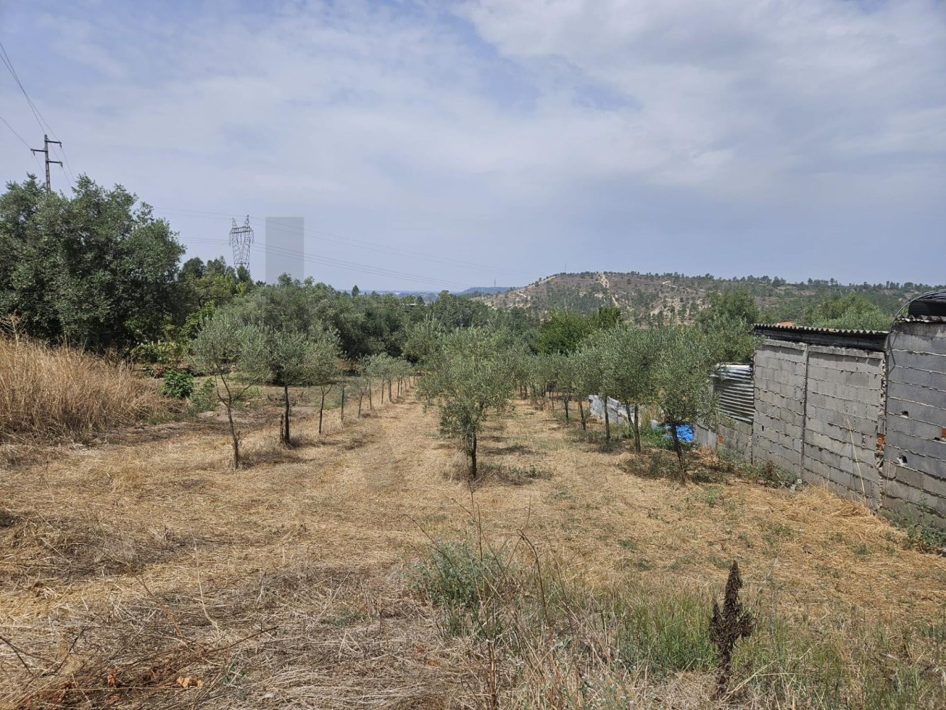 1m² Land in Brasfemes, Portugal No. 256896