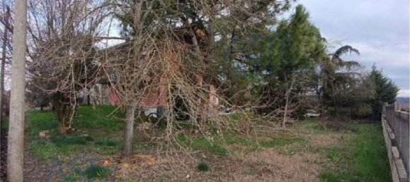 4 bedrooms Apartment in Magliano Alfieri, Italy No. 381572 13