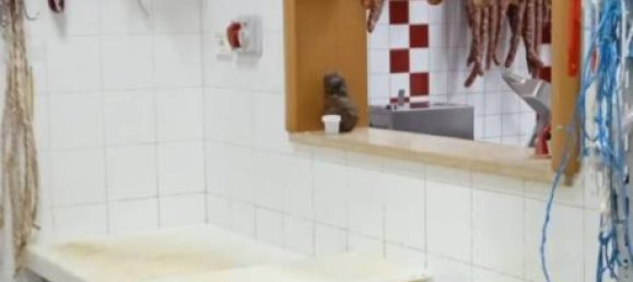 3 rooms Commercial property in Ramacca, Italy No. 133033 7