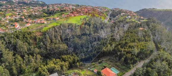 Земельный участок 10000м² в Кальета, Португалия № 92645 10