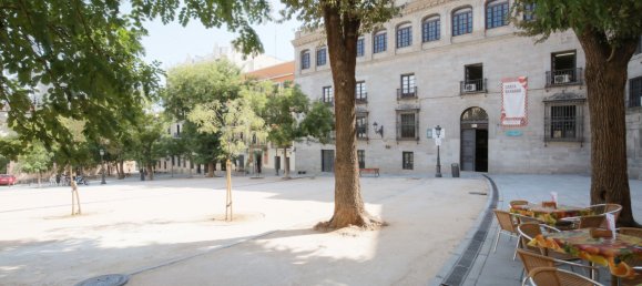 1 غرف نوم بانتهاوس في Madrid, Spain رقم 191214 29