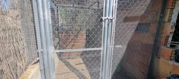 6 غرف نوم منزل في Moralet, Spain رقم 27554 39