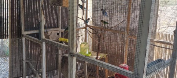 6 غرف نوم منزل في Moralet, Spain رقم 27554 41