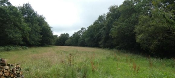  قطعة أرض في Finistere, France 5920متر مربع رقم 326670 3