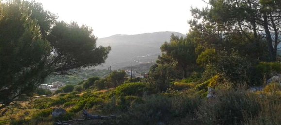 Terra em Zakynthos, Greece N.º 804 7