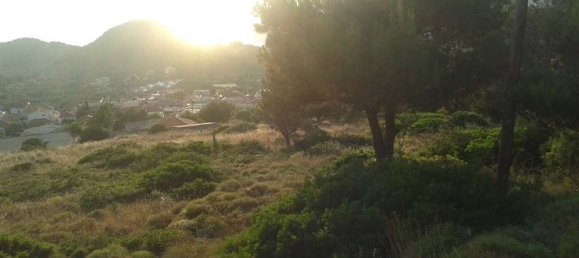 Terra em Zakynthos, Greece N.º 804 6