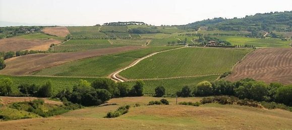 5 bedrooms House in Montepulciano, Italy No. 230385 8