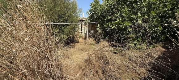 4 bedrooms House in Muro, Spain No. 151219 16