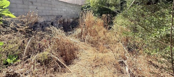 4 bedrooms House in Muro, Spain No. 151219 14