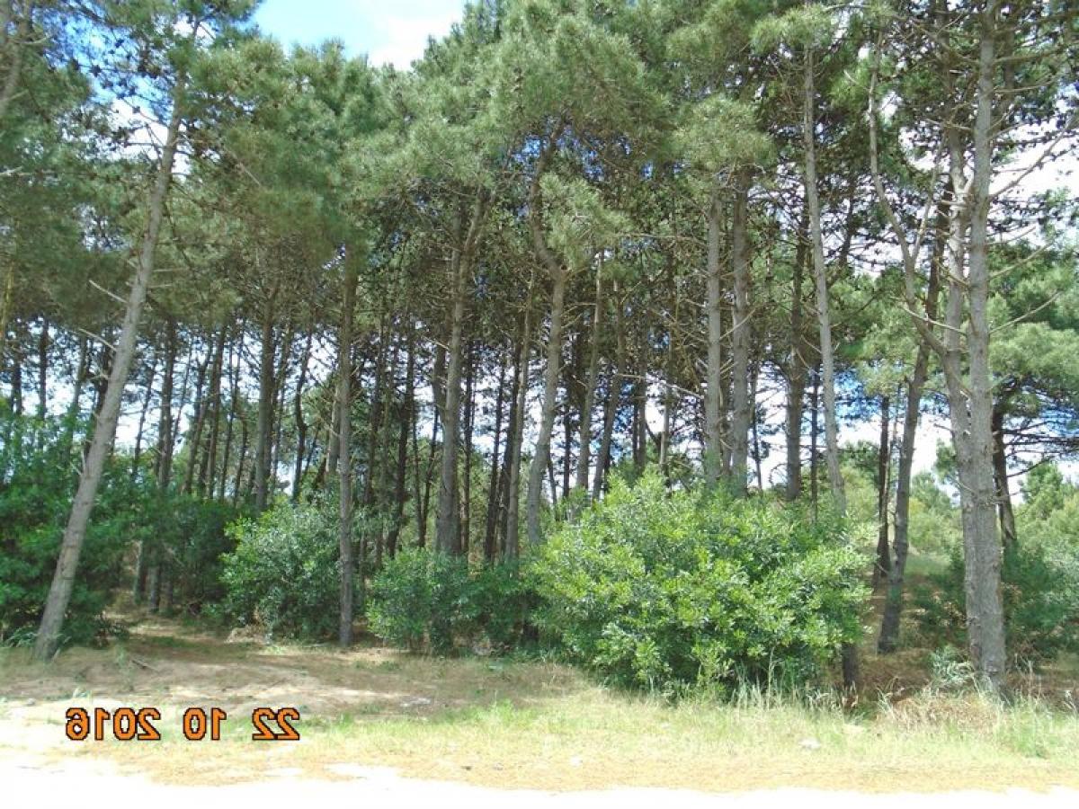  Land in Mar del Plata, Argentina No. 118416