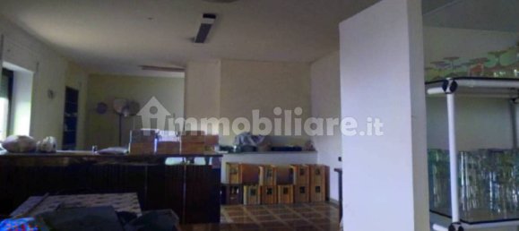 5 rooms Commercial property in Filiano, Italy No. 343084 6