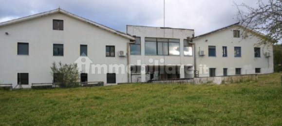 5 rooms Commercial property in Filiano, Italy No. 343084 4