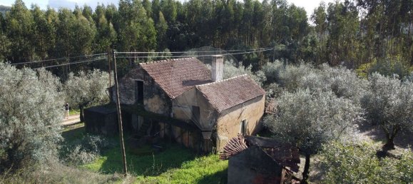 3 Schlafzimmer Haus in Ferreira do Zezere, Portugal, Nr. 17535 7