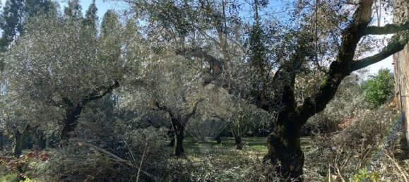 3 Schlafzimmer Haus in Ferreira do Zezere, Portugal, Nr. 17535 13