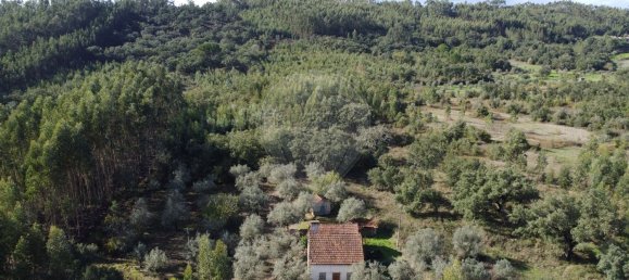 3 Schlafzimmer Haus in Ferreira do Zezere, Portugal, Nr. 17535 2