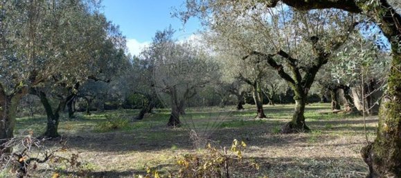 3 Schlafzimmer Haus in Ferreira do Zezere, Portugal, Nr. 17535 15