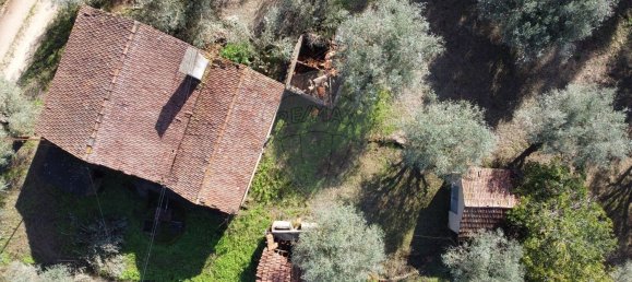 3 Schlafzimmer Haus in Ferreira do Zezere, Portugal, Nr. 17535 9