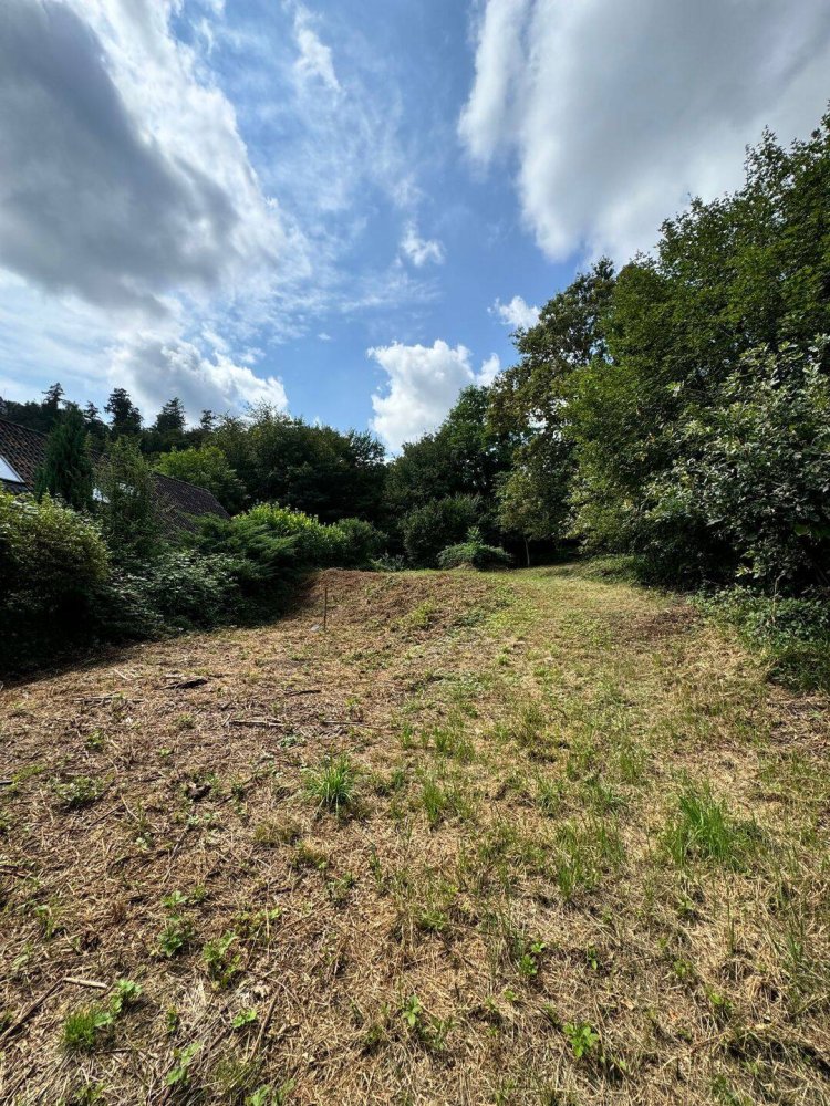  Land in Darmstadt-Dieburg, Germany No. 338001