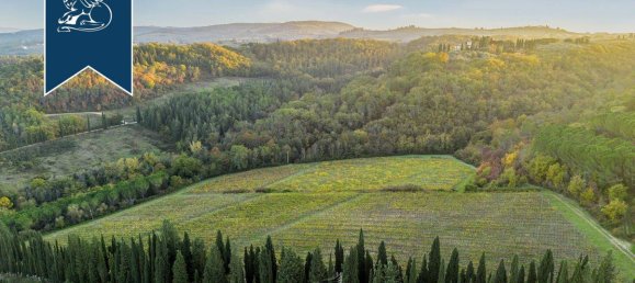 16 rooms Villa in San Casciano in Val di Pesa, Italy No. 79651 4