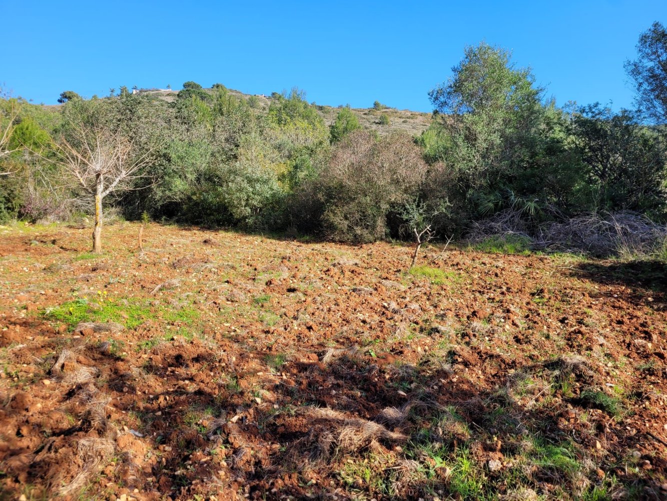 806m² Land in Denia, Spain No. 212355