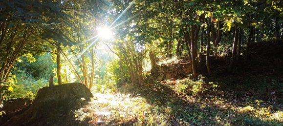 2 rooms House in Val di Chy, Italy No. 255449 18