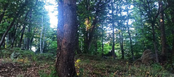 2 rooms House in Val di Chy, Italy No. 255449 15