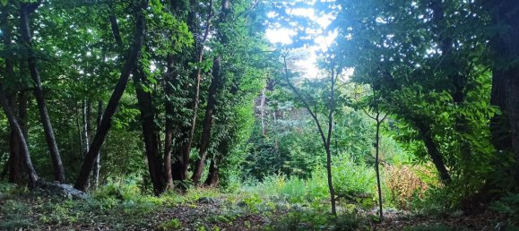 2 rooms House in Val di Chy, Italy No. 255449 17