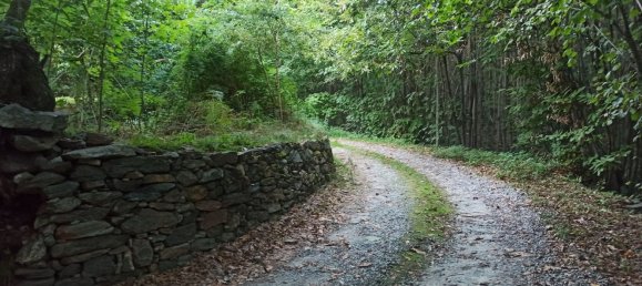 2 rooms House in Val di Chy, Italy No. 255449 10