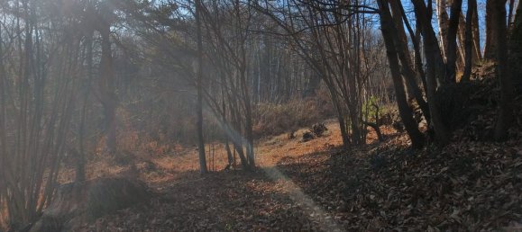 2 rooms House in Val di Chy, Italy No. 255449 13