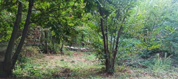 2 rooms House in Val di Chy, Italy No. 255449 16