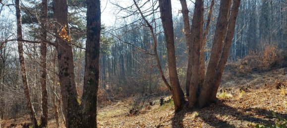 2 rooms House in Val di Chy, Italy No. 255449 3