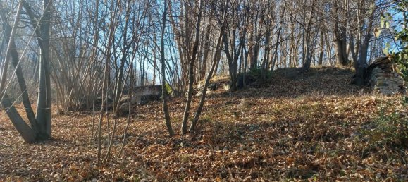 2 rooms House in Val di Chy, Italy No. 255449 4