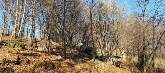 2 rooms House in Val di Chy, Italy No. 255449 14