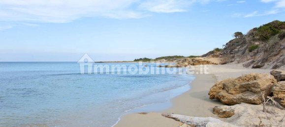 قطعة أرض في Carovigno, Italy 8300متر مربع رقم 153101 12