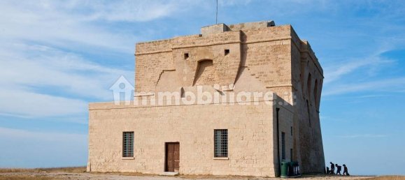 قطعة أرض في Carovigno, Italy 8300متر مربع رقم 153101 9