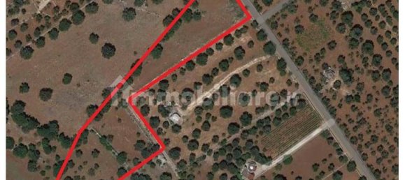 قطعة أرض في Carovigno, Italy 8300متر مربع رقم 153101 15