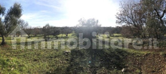 قطعة أرض في Carovigno, Italy 8300متر مربع رقم 153101 14