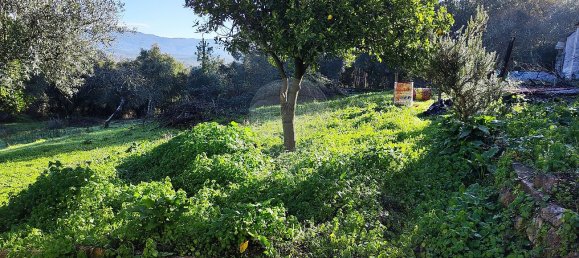 Дом с 3 спальнями в Ансиан, Португалия № 23101 20