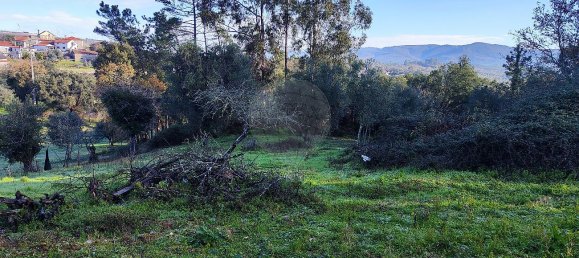 Дом с 3 спальнями в Ансиан, Португалия № 23101 17