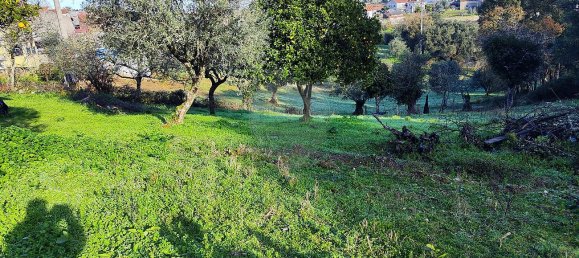 Дом с 3 спальнями в Ансиан, Португалия № 23101 18