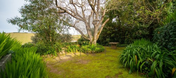 5 bedrooms House in Torres Vedras, Portugal No. 115938 32