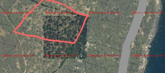 8800m² Land in Dorgali, Italy No. 255780 2