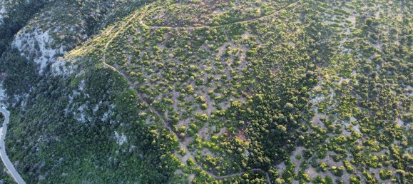 8800m² Land in Dorgali, Italy No. 255780 5